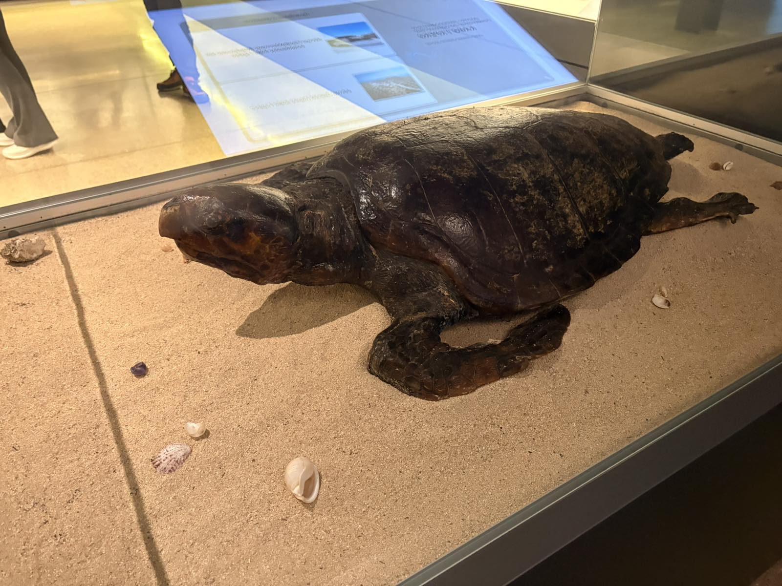 Viber Image 2026 03 27 10 46 16 973