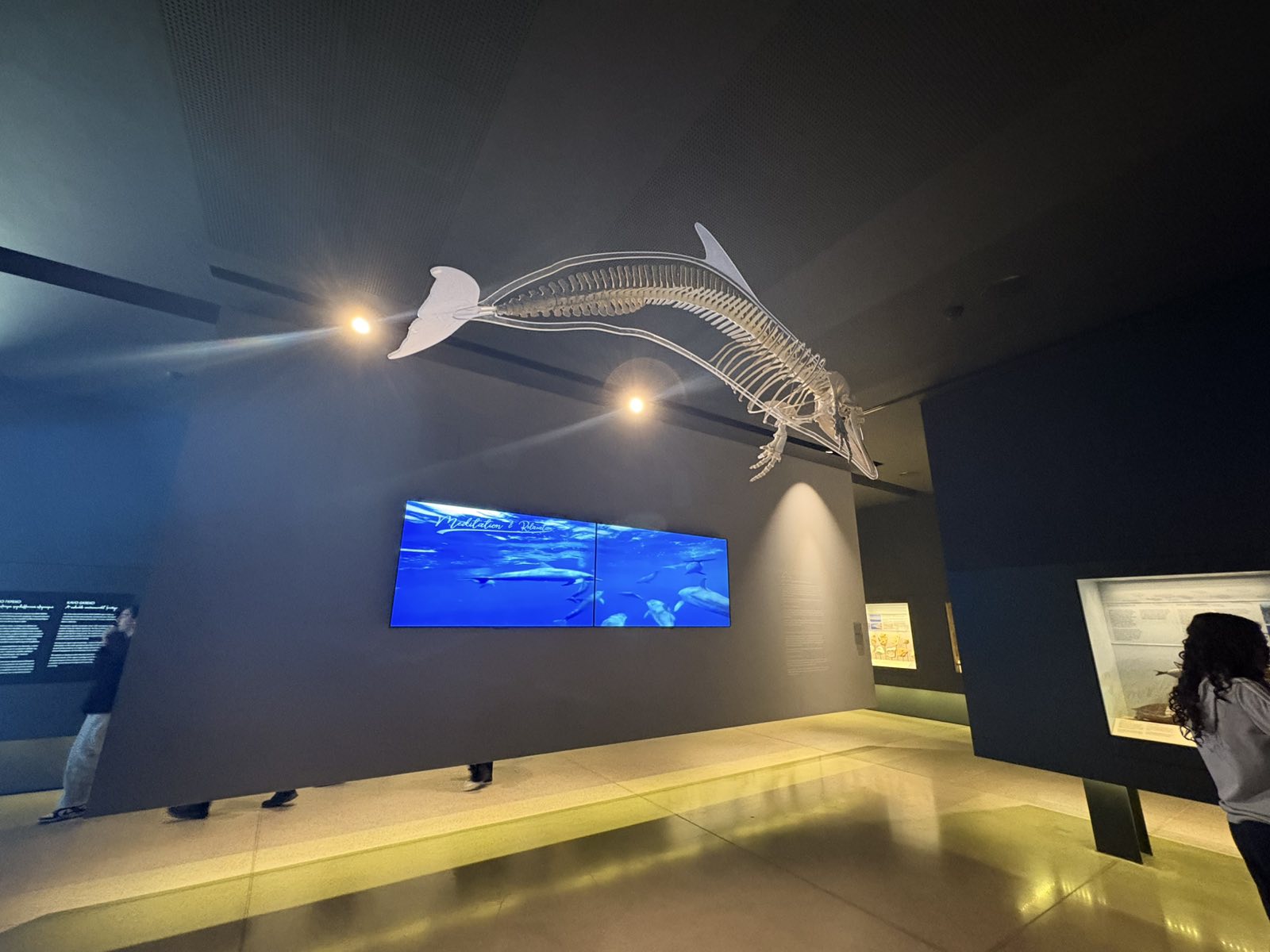 Viber Image 2026 03 27 10 46 19 554