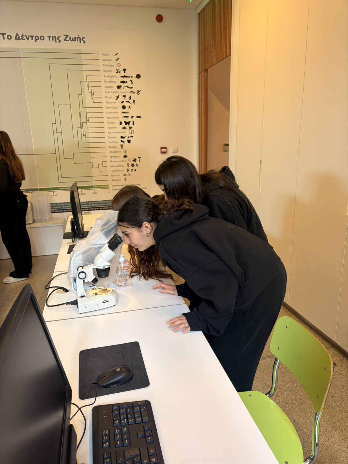 Viber Image 2026 03 27 10 46 20 277