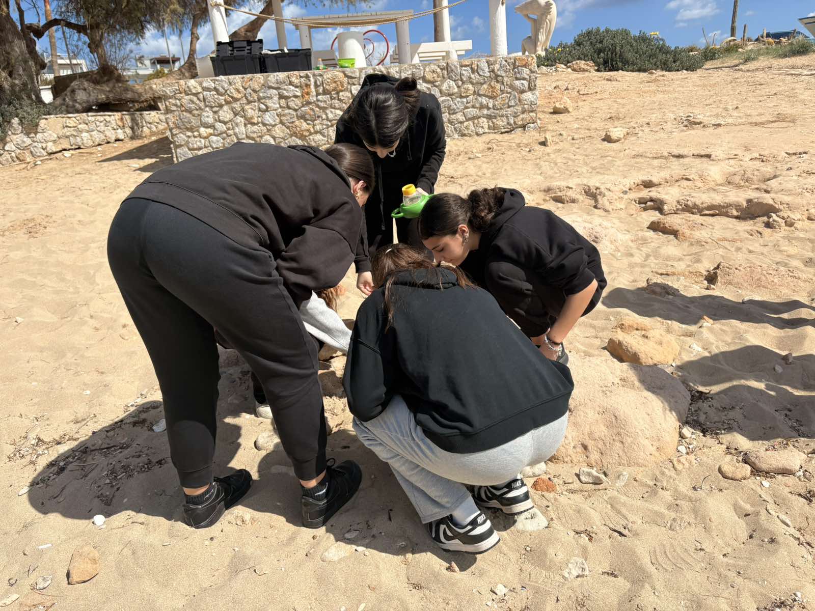 Viber Image 2026 03 27 10 48 10 789