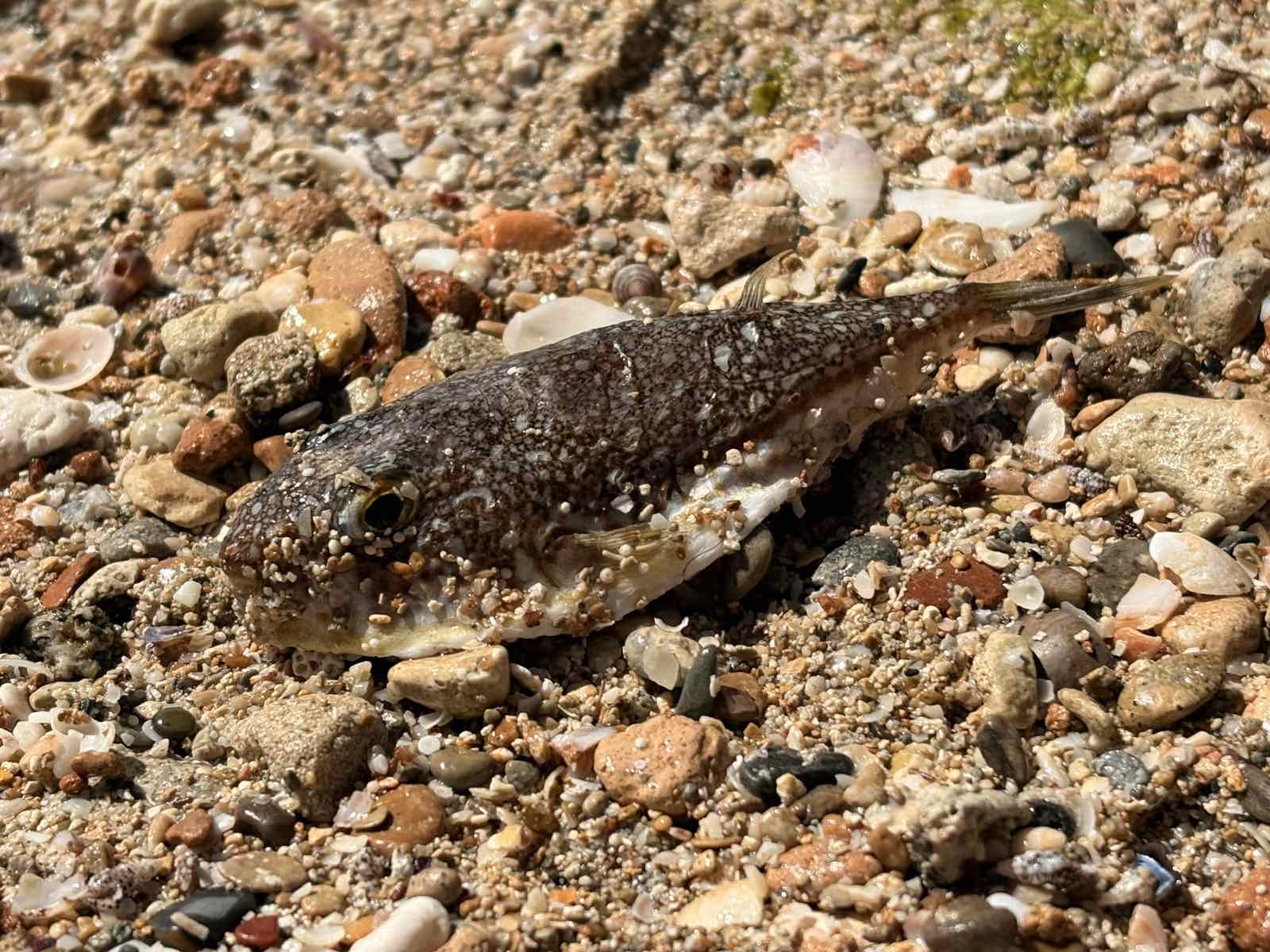 Viber Image 2026 03 27 10 48 47 545