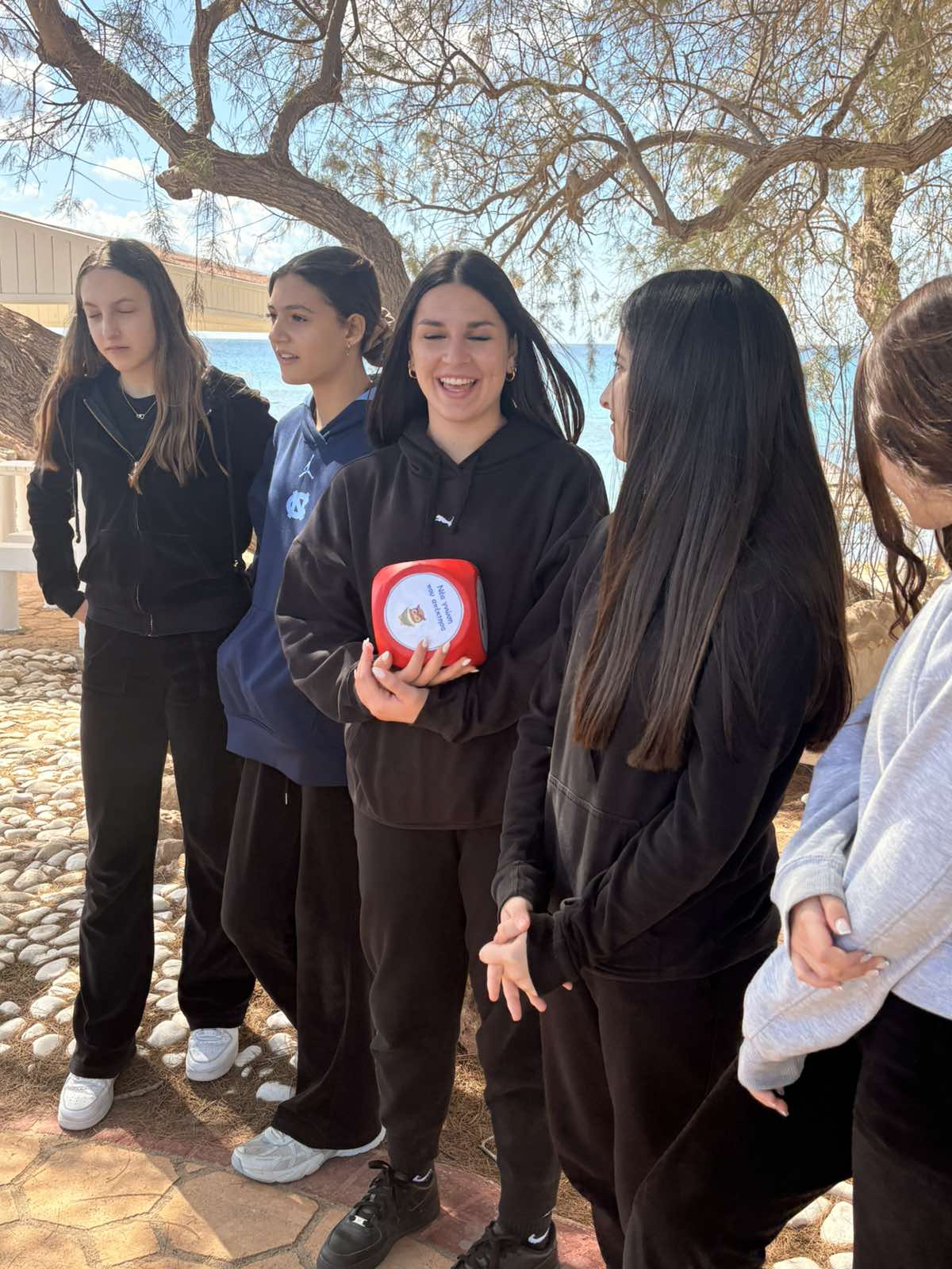 Viber Image 2026 03 27 10 48 50 729