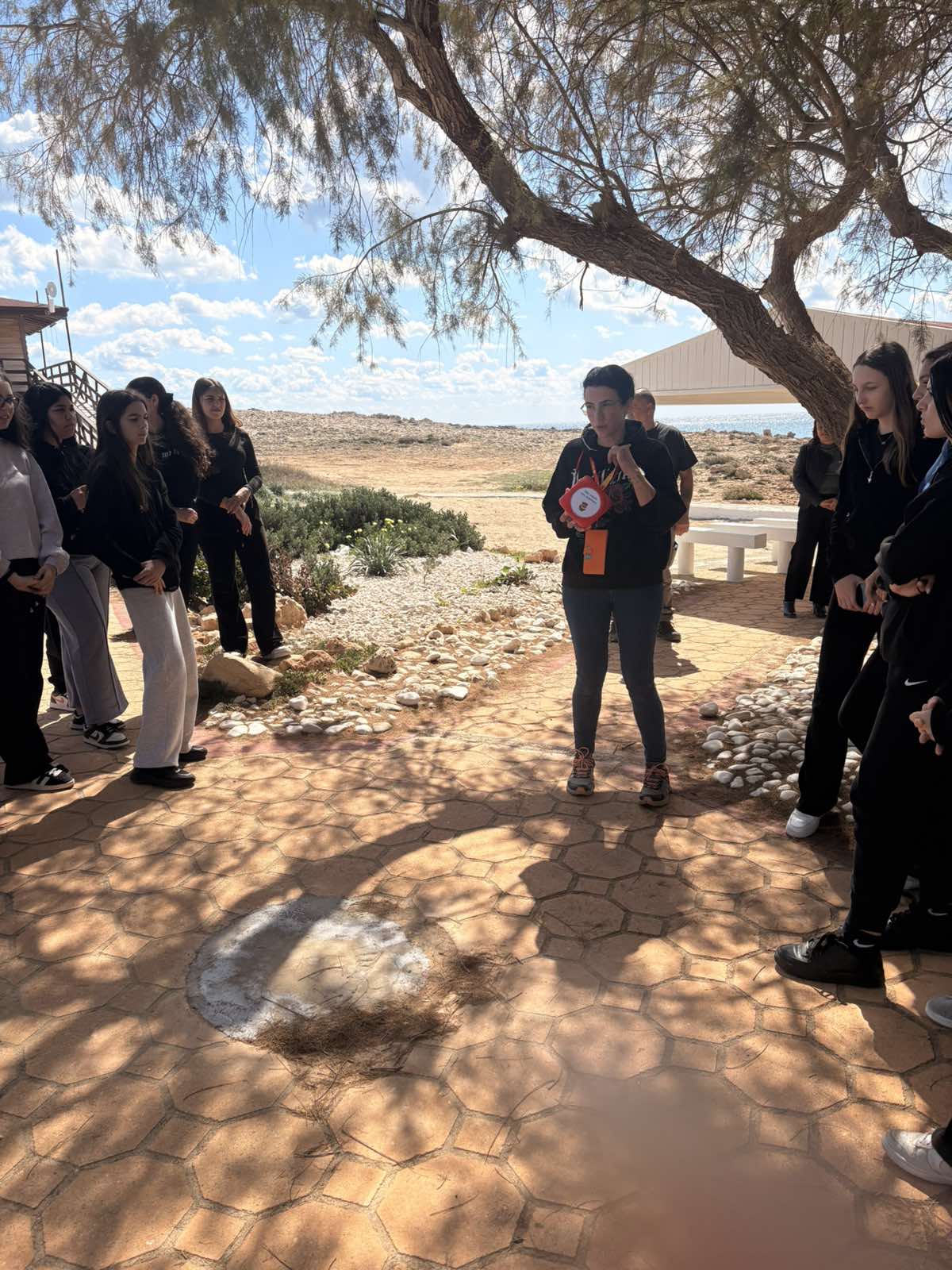 Viber Image 2026 03 27 10 49 20 829