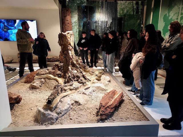 641602738 122197966364512448 250127016900881869 N