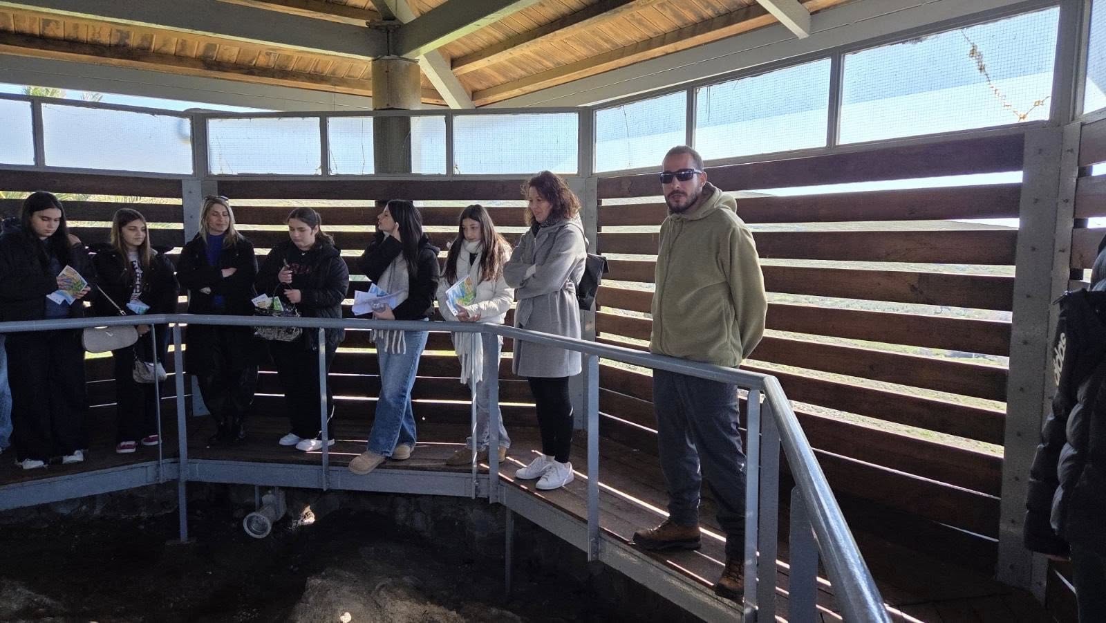 643555117 122197966682512448 2130124001927113293 N