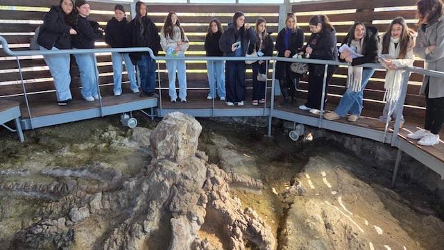 643759897 122197966118512448 4461273022449122296 N