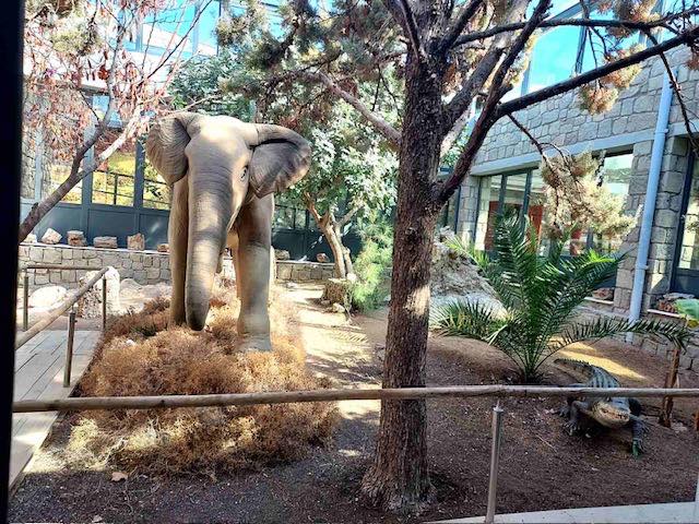 644111654 122197966232512448 6207760006114219654 N