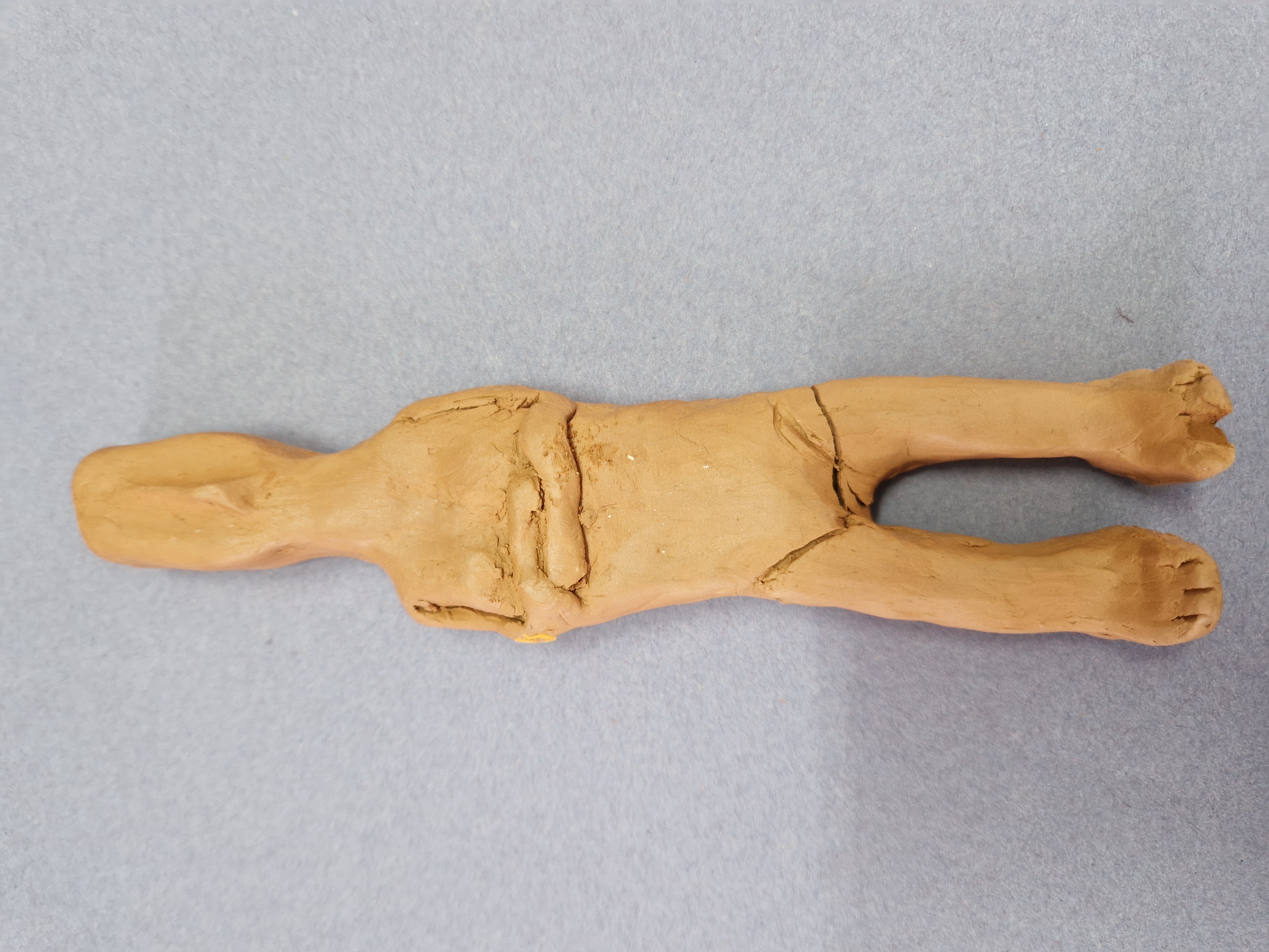 Δαμιανού Θεοδώρα, A2