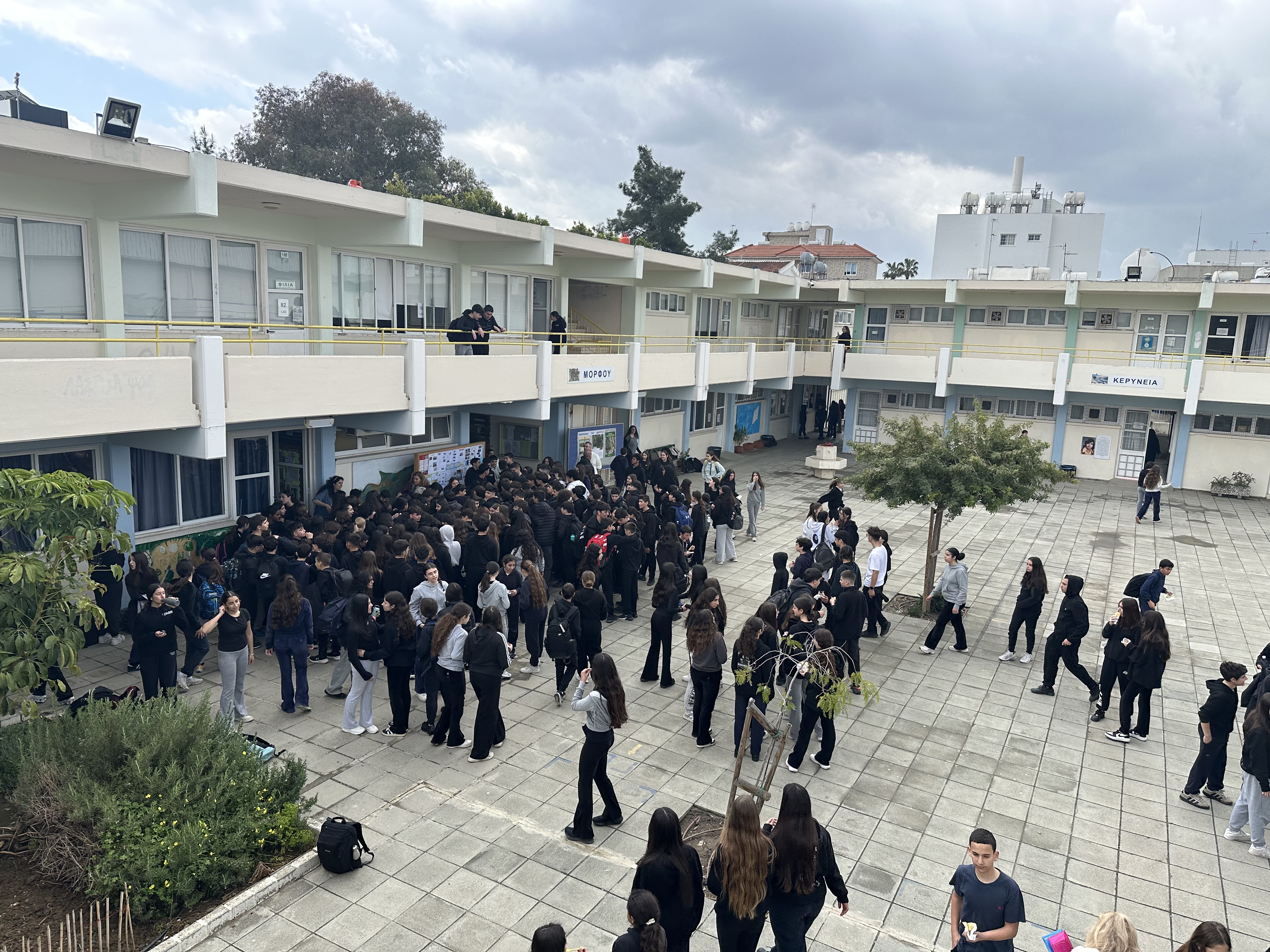 Image 20260320 085815 4f33d026